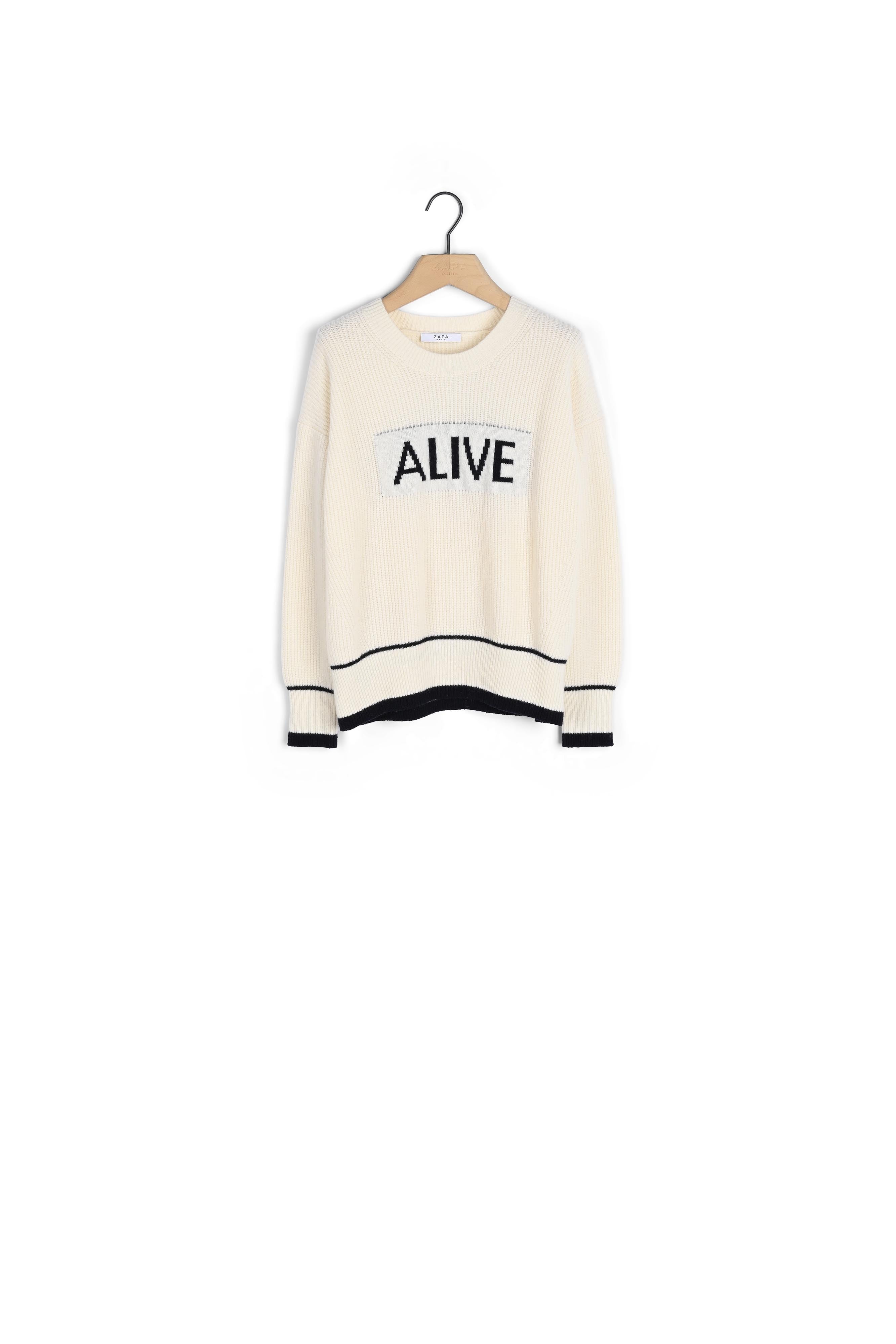 Pull Positive Faume - seconde main